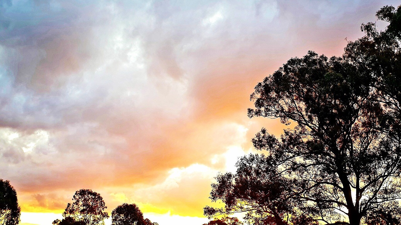 Photo of Others in Lovedale