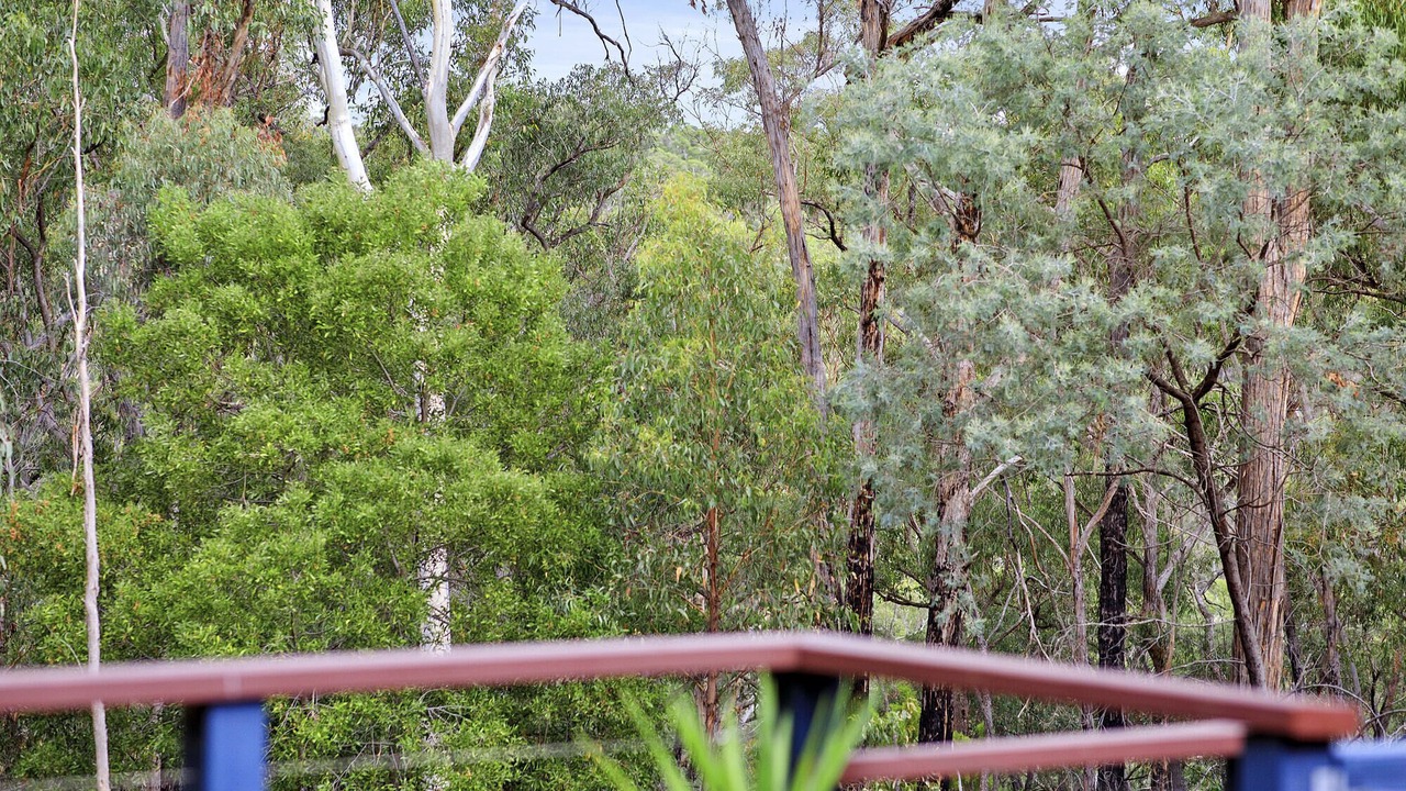 Photo of Outdoor in Daylesford