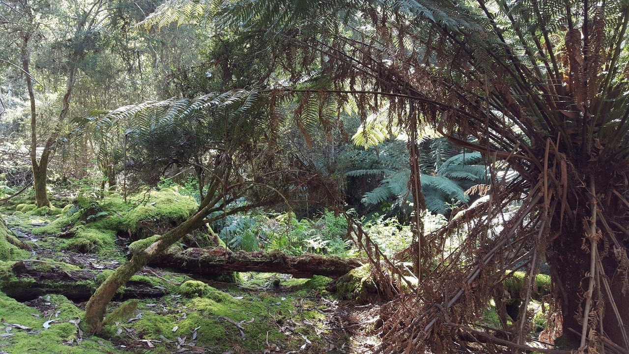 Photo of Outdoor in Snug