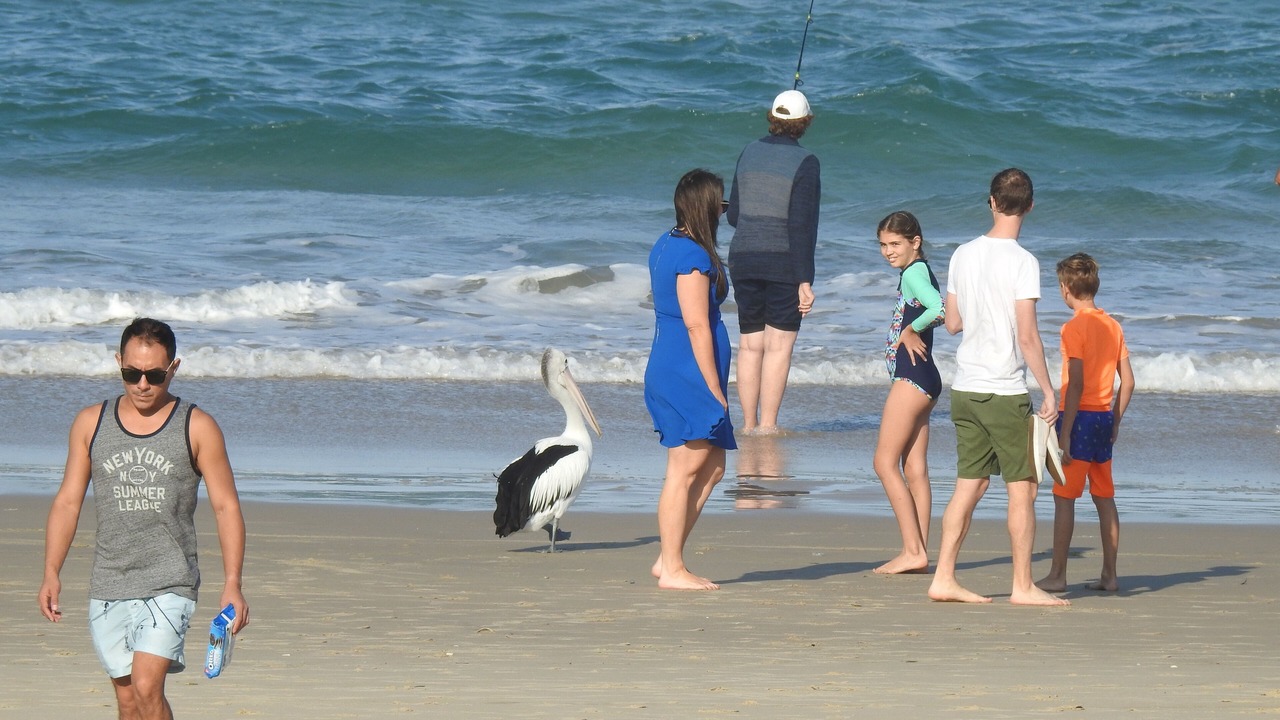 Photo of Others in Mermaid Beach