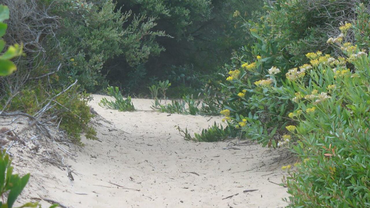 Photo of Others in Paradise Beach