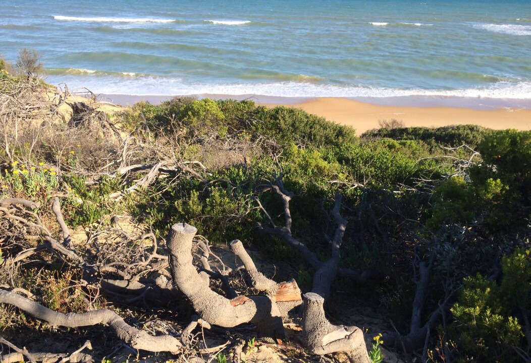 Photo of Others in Paradise Beach