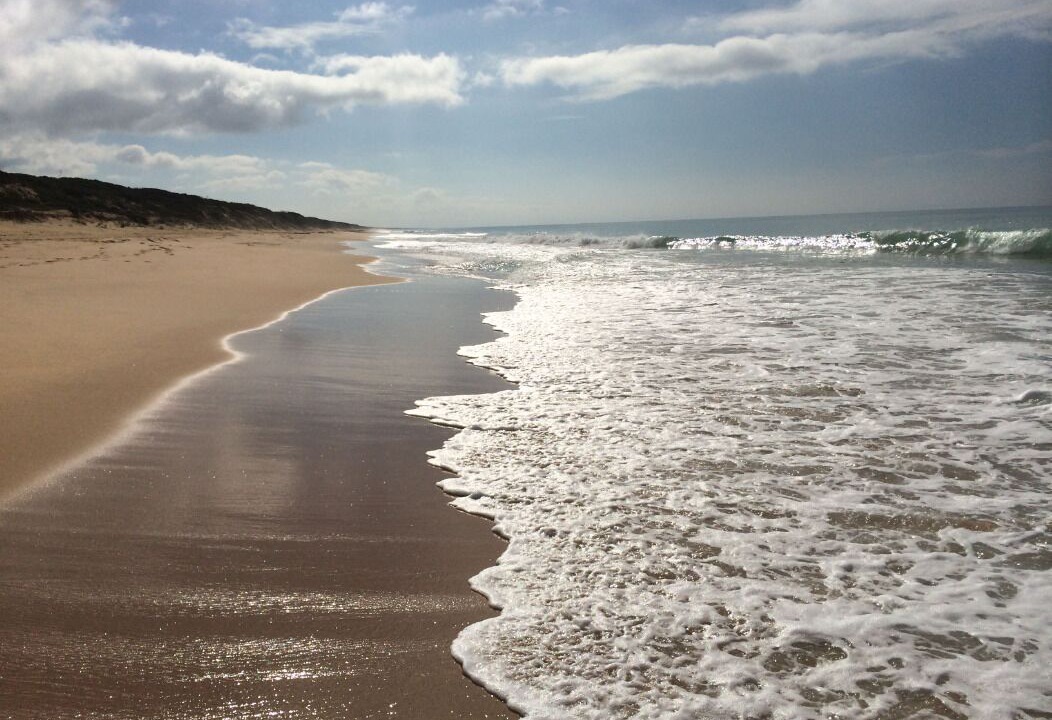 Photo of Others in Paradise Beach