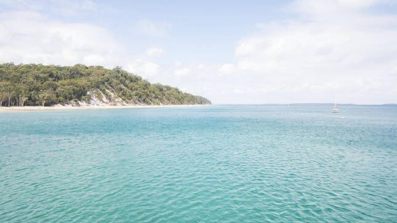 Photo of Others in Kingfisher Bay