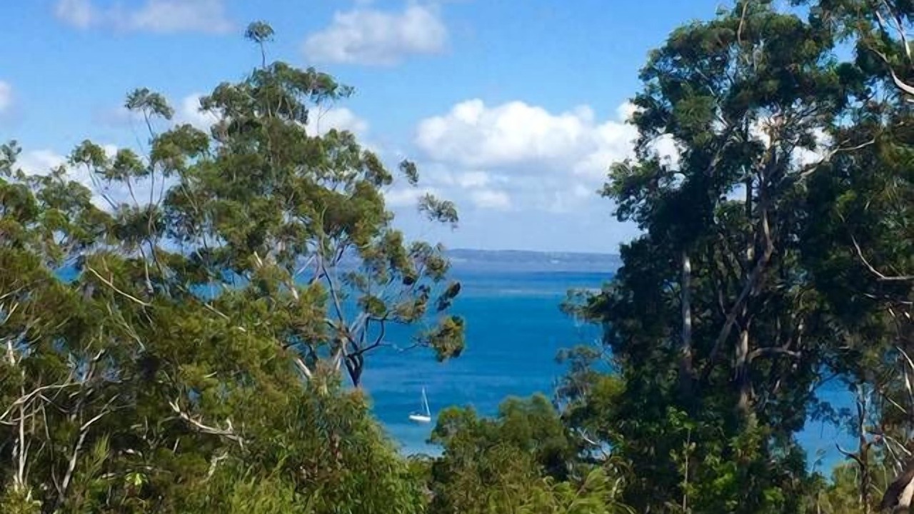 Photo of Others in Kingfisher Bay