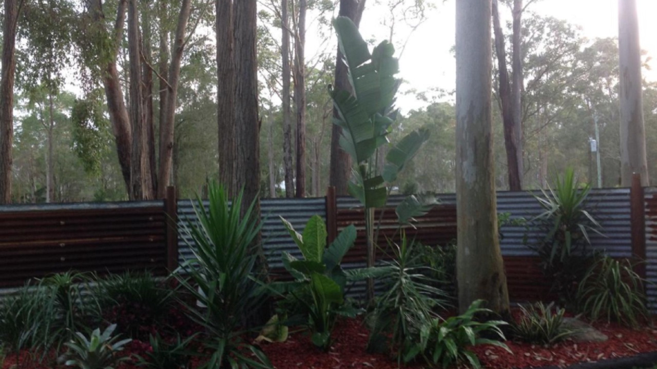 Photo of Outdoor in Cooranbong