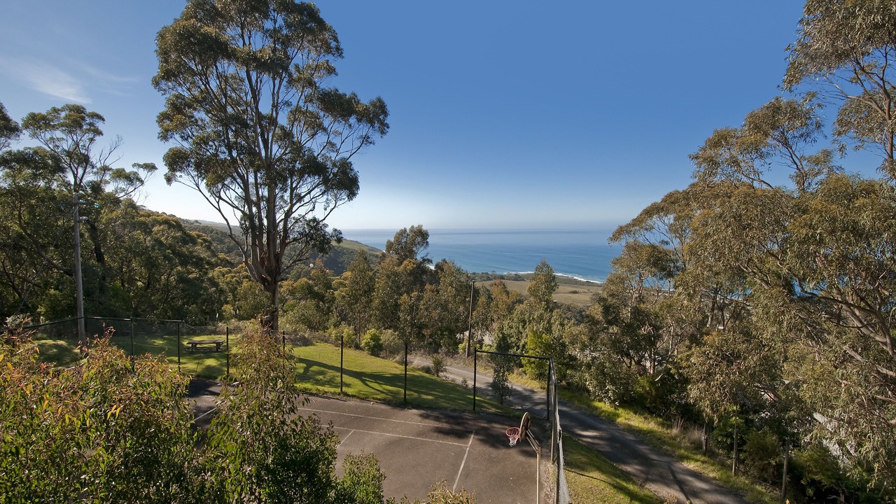 Photo of Outdoor in Skenes Creek