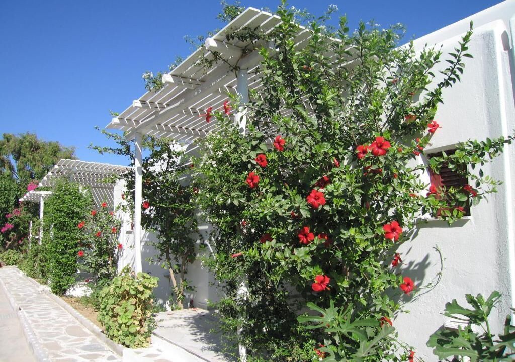 Photo of Outdoor in Santa Maria