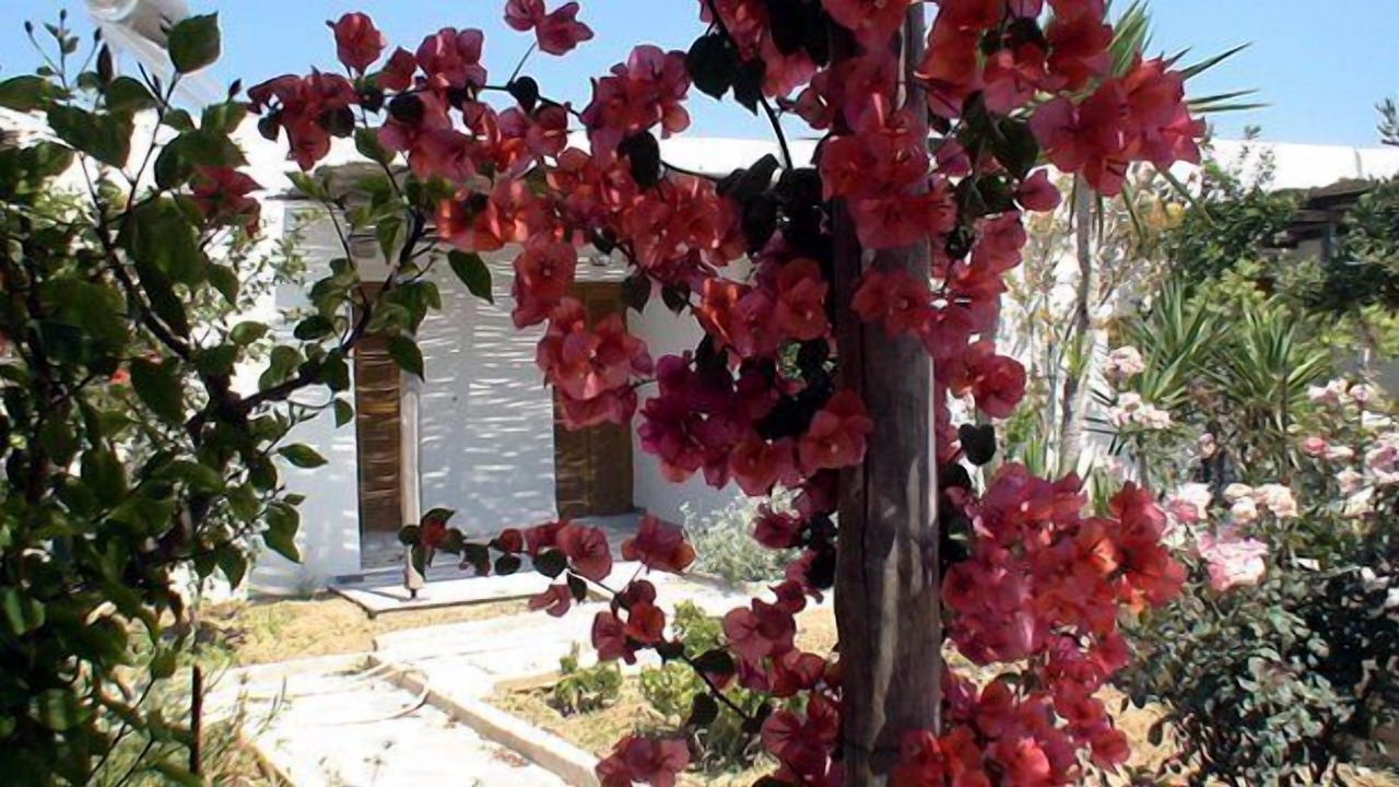Photo of Patio Balcony in Santa Maria