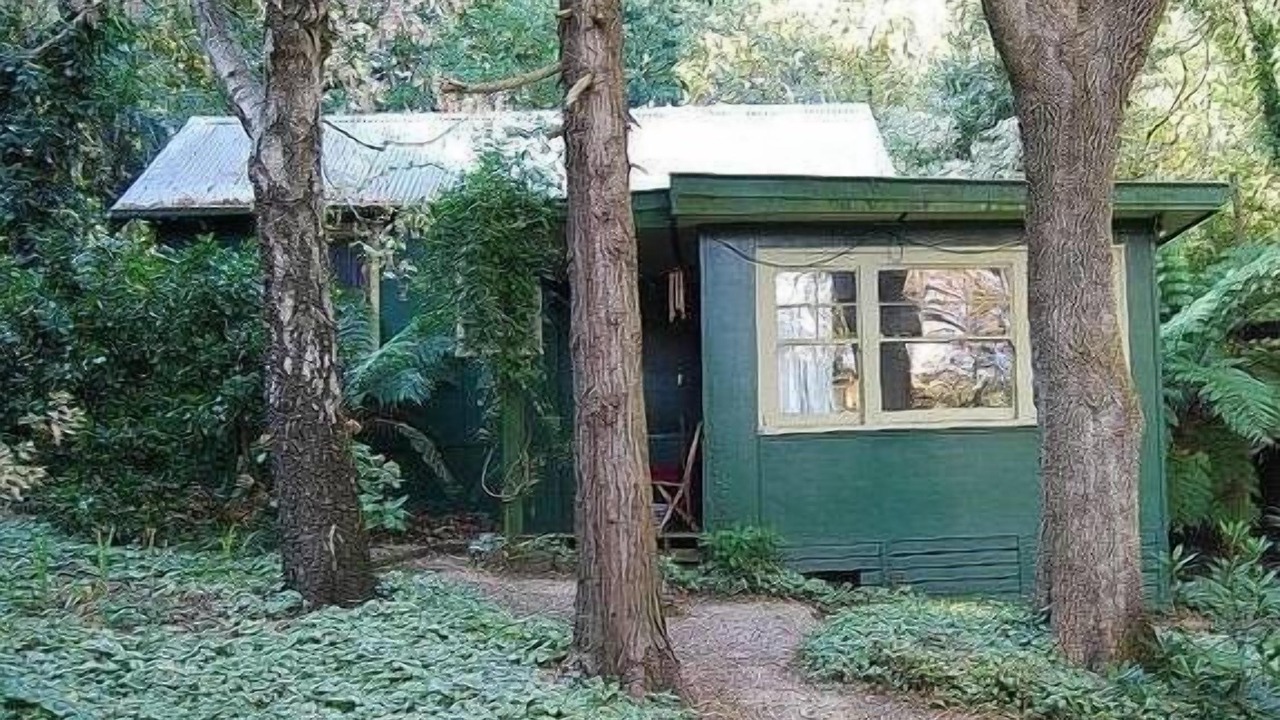 Photo of Outdoor in Sassafras