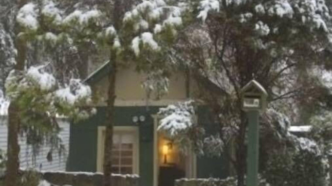 Photo of Outdoor in Sassafras