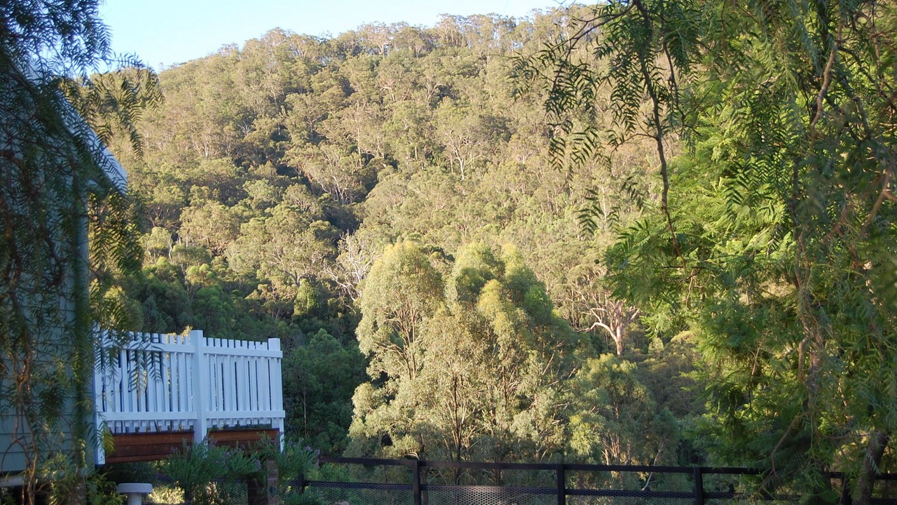 Photo of Others in Rosebrook