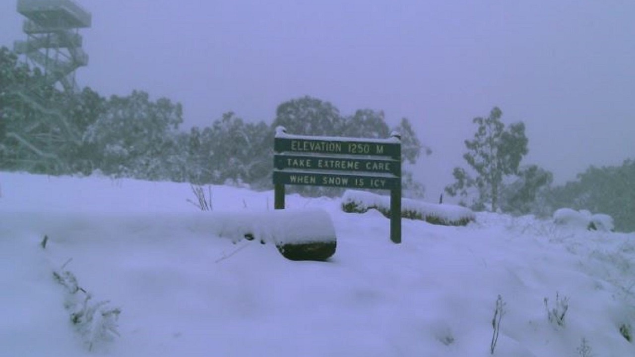 Photo of Outdoor in Warburton