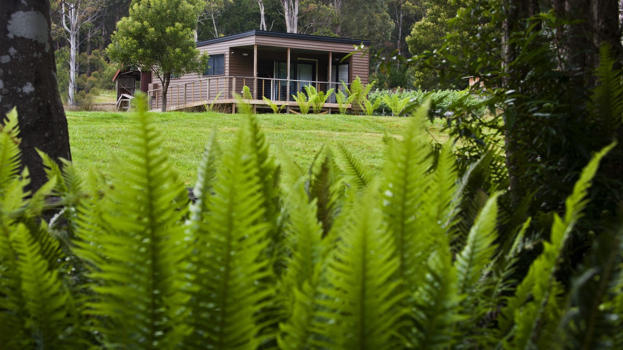Photo of Outdoor in Tyenna