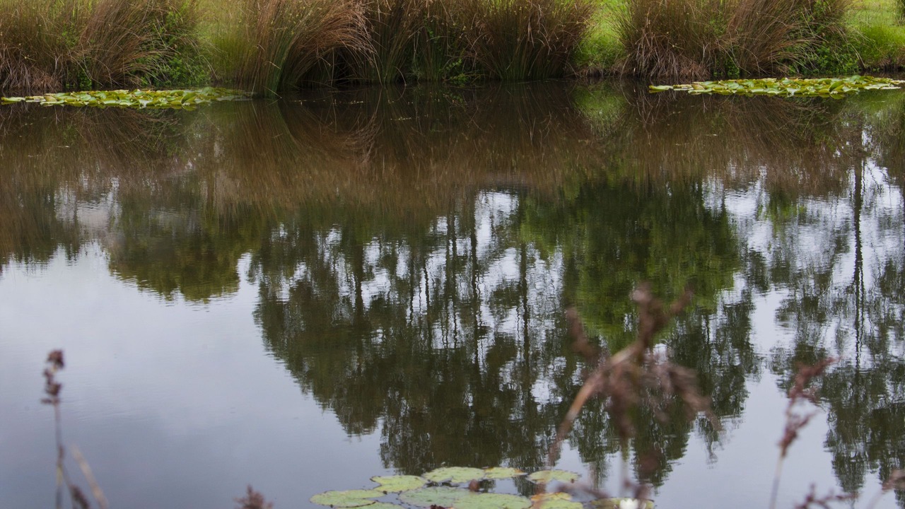 Photo of Outdoor in Tyenna