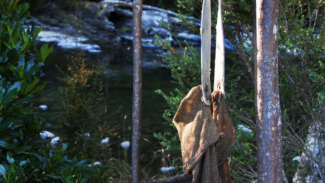 Photo of Outdoor in Tyenna