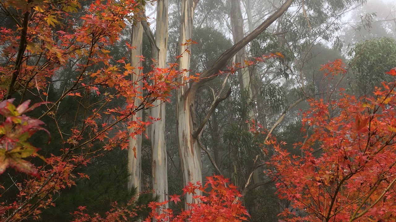 Photo of Outdoor in Olinda