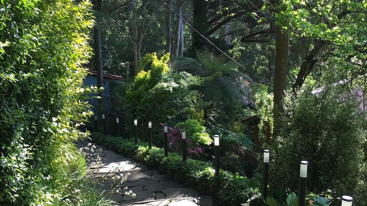 Photo of Outdoor in Olinda
