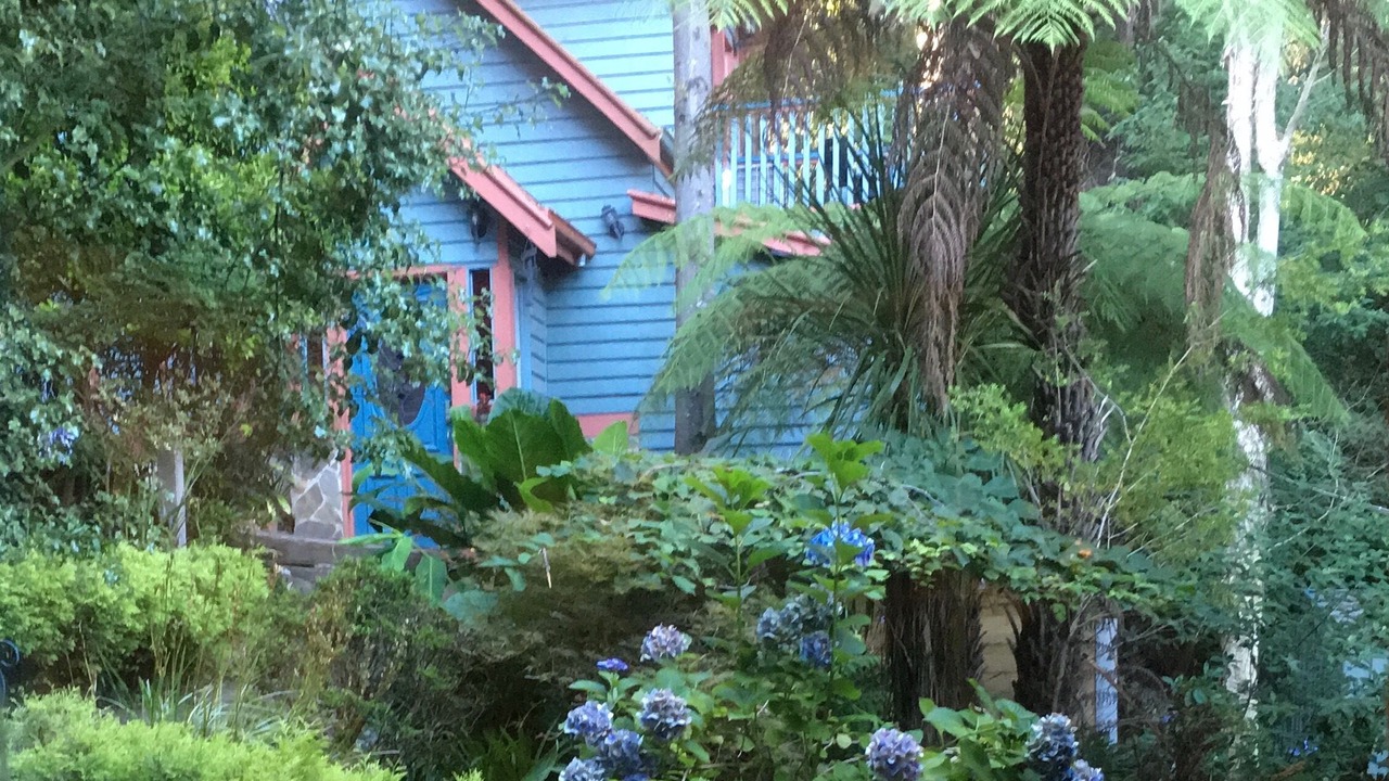 Photo of Others in Olinda