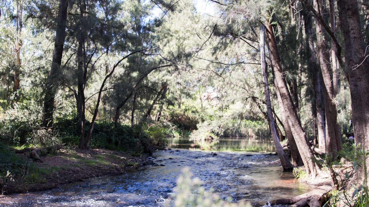 Photo of Outdoor in Riverlea