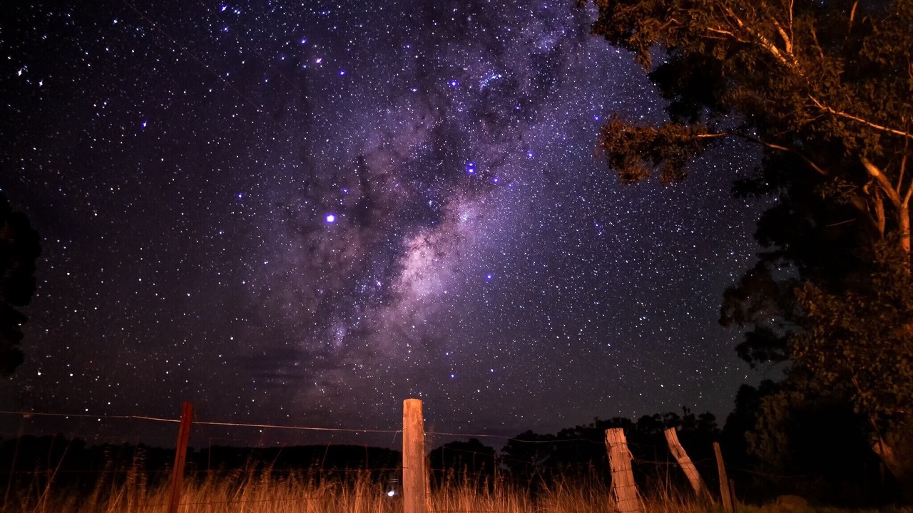 Photo of Others in Frankland River