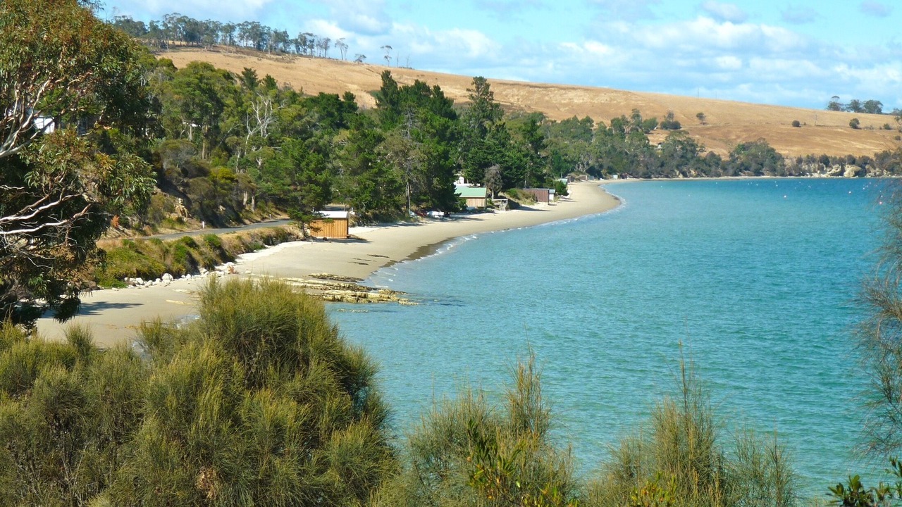 Photo of Others in Dennes Point
