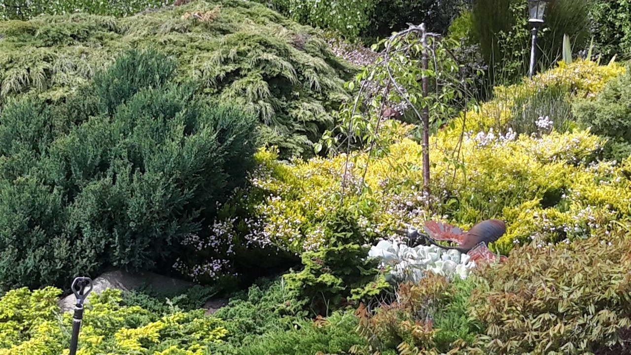Photo of Outdoor in Lenah Valley