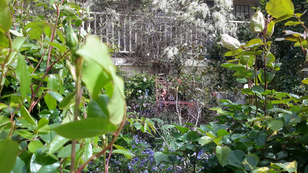 Photo of Outdoor in Lenah Valley