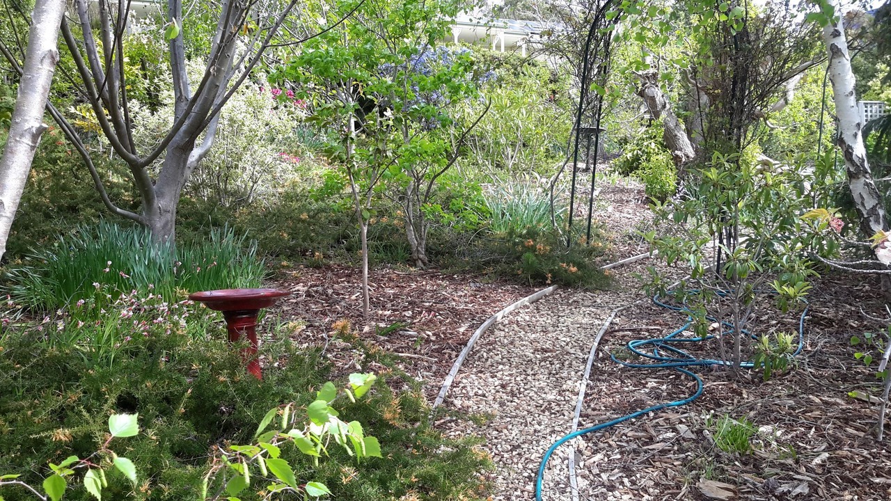 Photo of Outdoor in Lenah Valley
