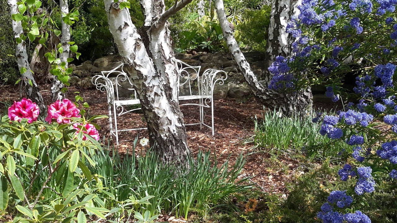 Photo of Outdoor in Lenah Valley