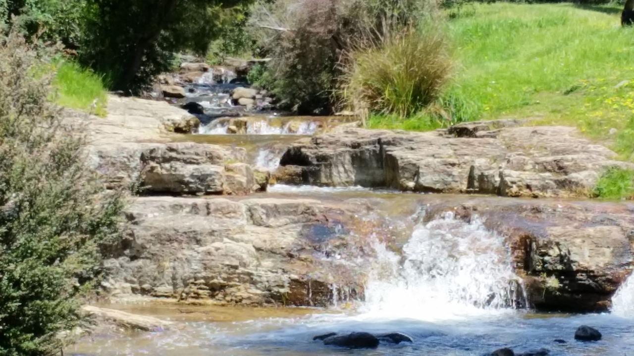 Photo of Others in Lenah Valley