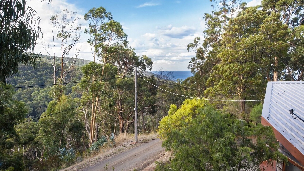 Photo of Others in Kennett River