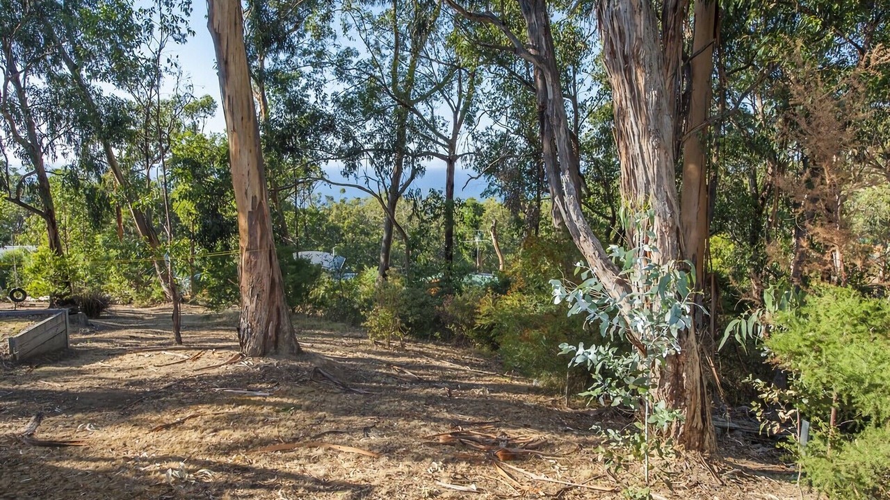 Photo of Outdoor in Kennett River