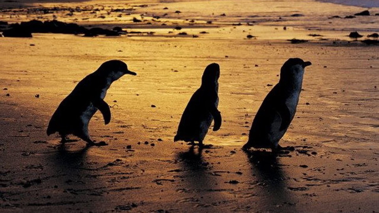 Photo of Others in Cowes