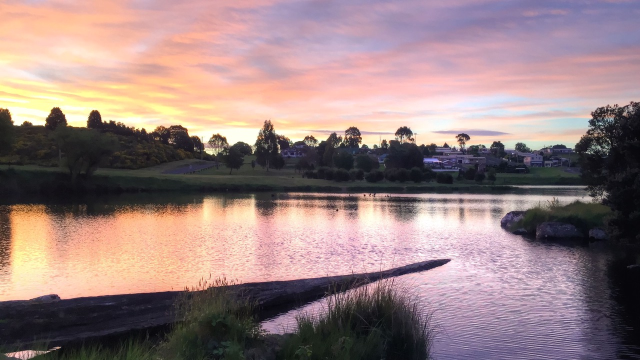 Photo of Outdoor in Waratah