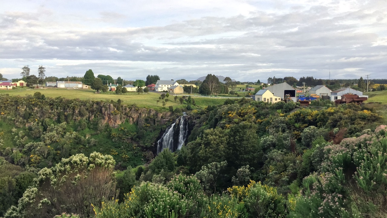 Photo of Others in Waratah