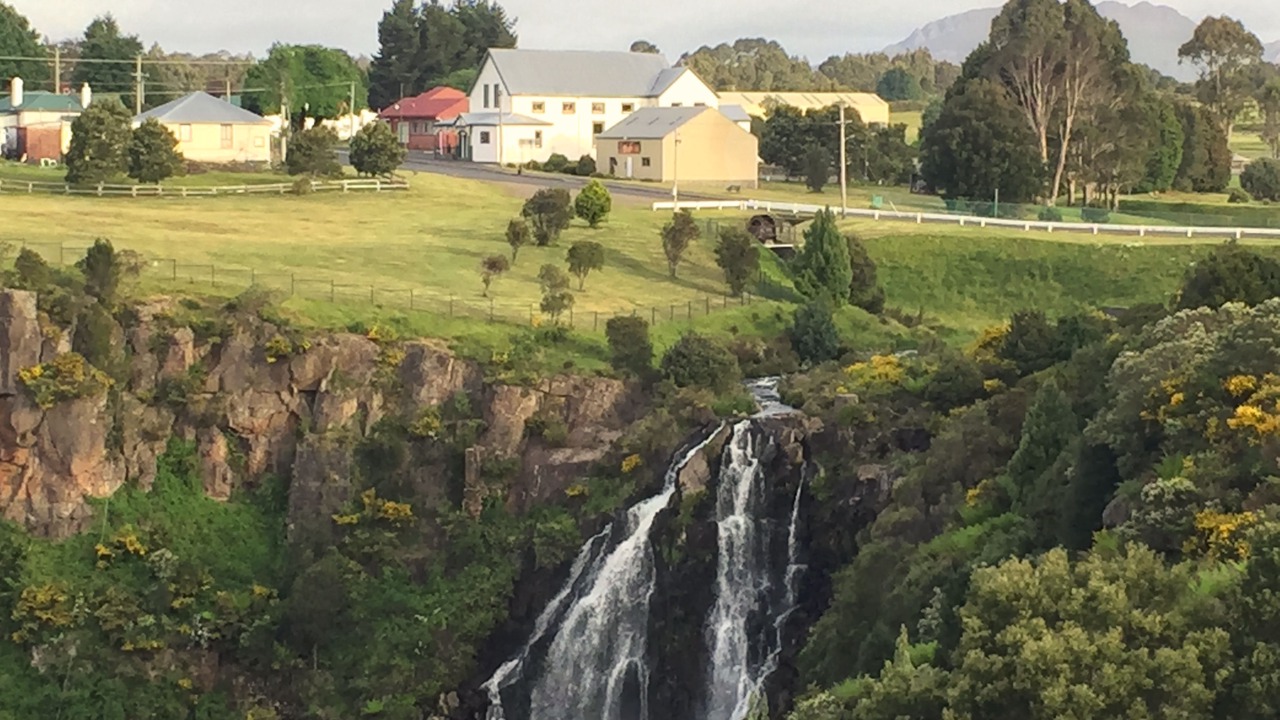 Photo of Others in Waratah