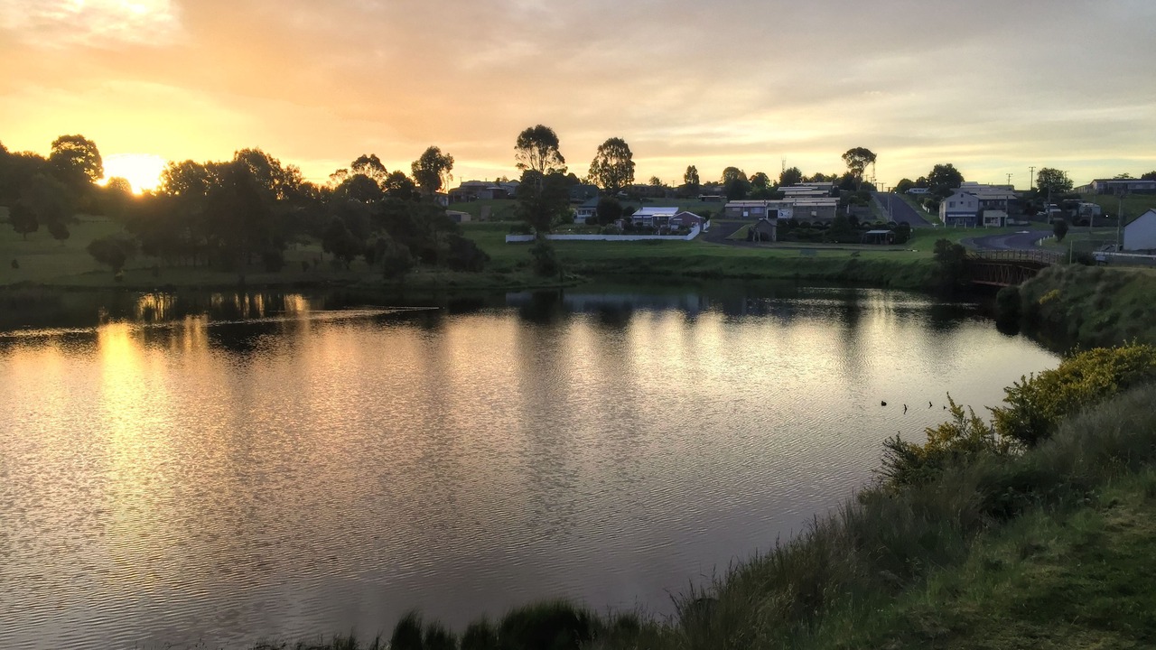 Photo of Others in Waratah