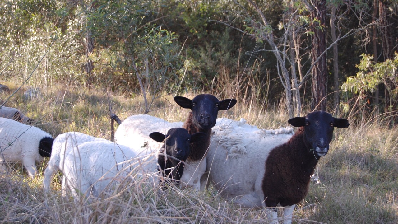 Photo of Others in Rosebrook