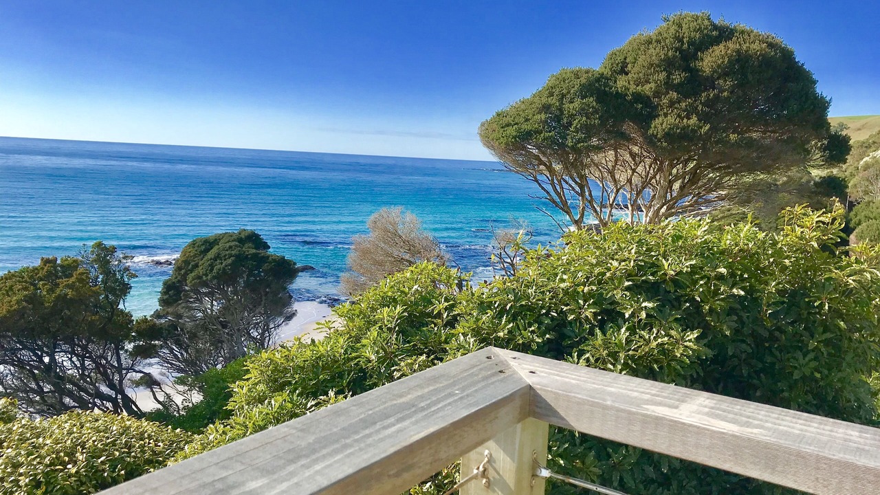 Photo of Outdoor in Boat Harbour Beach
