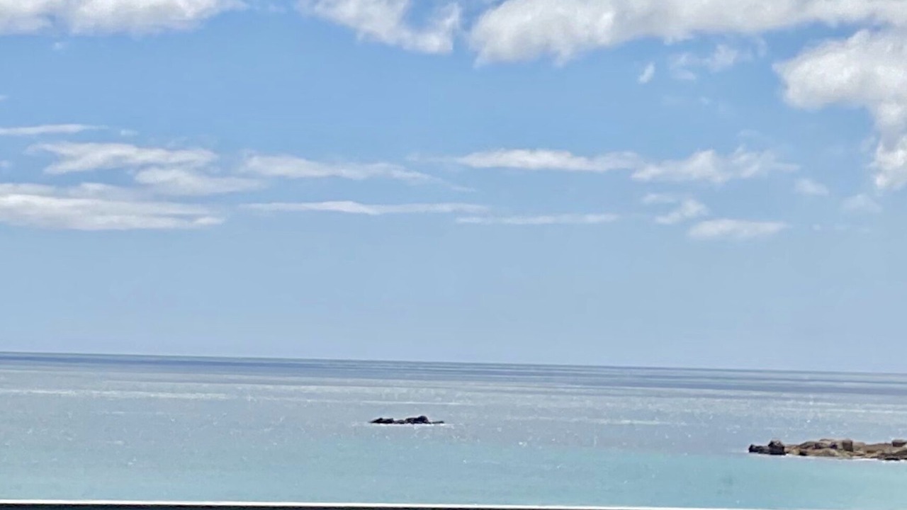Photo of Outdoor in Boat Harbour Beach