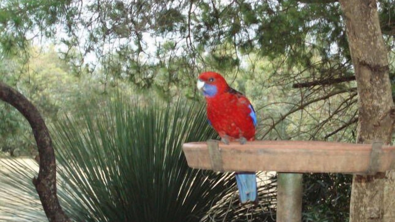 Photo of Outdoor in Newland