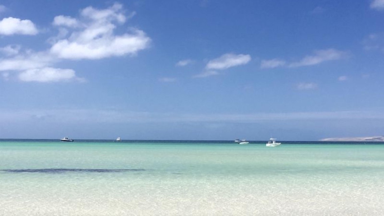 Photo of Others in Island Beach