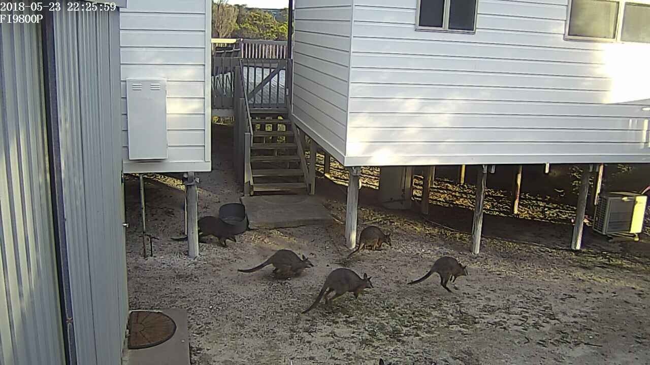 Photo of Others in Island Beach