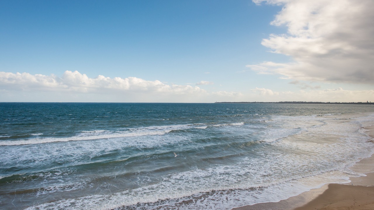 Photo of Others in Queenscliff