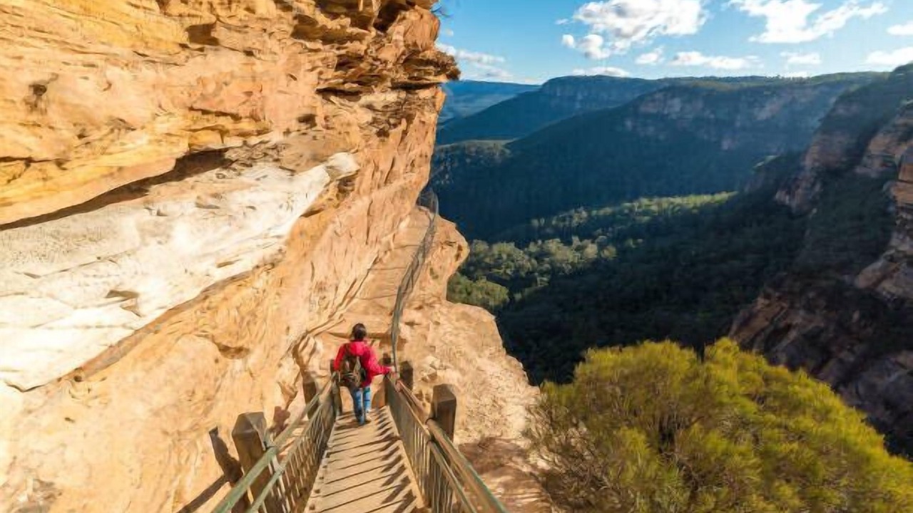 Photo of Others in Katoomba