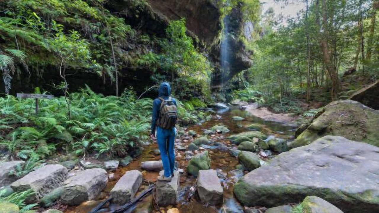 Photo of Others in Katoomba