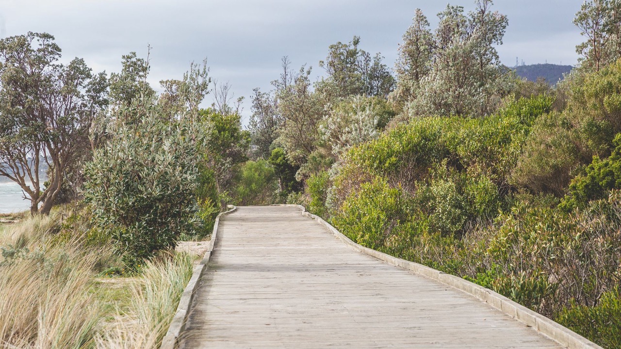 Photo of Outdoor in Rosebud