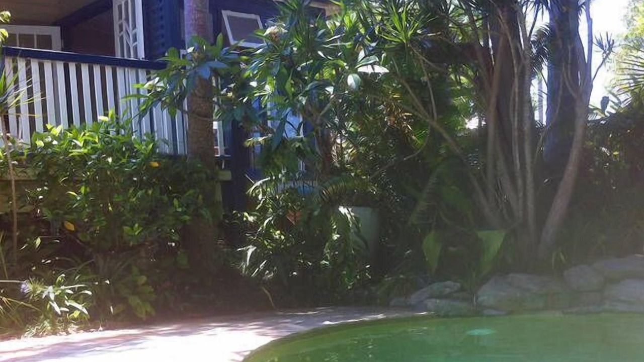 Photo of Outdoor in Bellingen