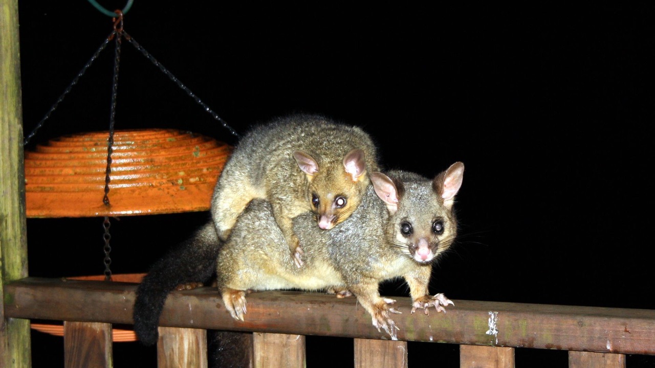 Photo of Others in Bandon Grove